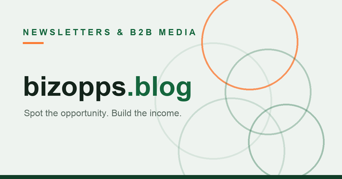 The DIY Landlord Newsletter: 10 Million Readers, No Incumbent
