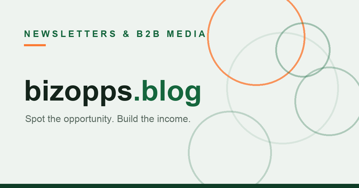 Nonprofit Executive Director Newsletter: The Tiny-Org Gap